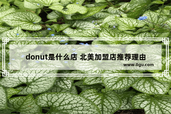 donut是什么店 北美加盟店推荐理由