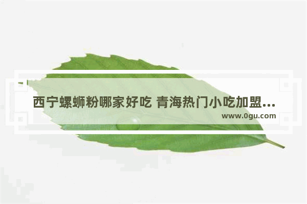 西宁螺蛳粉哪家好吃 青海热门小吃加盟排行榜