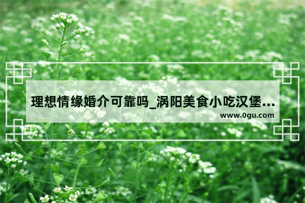 理想情缘婚介可靠吗_涡阳美食小吃汉堡炸鸡加盟