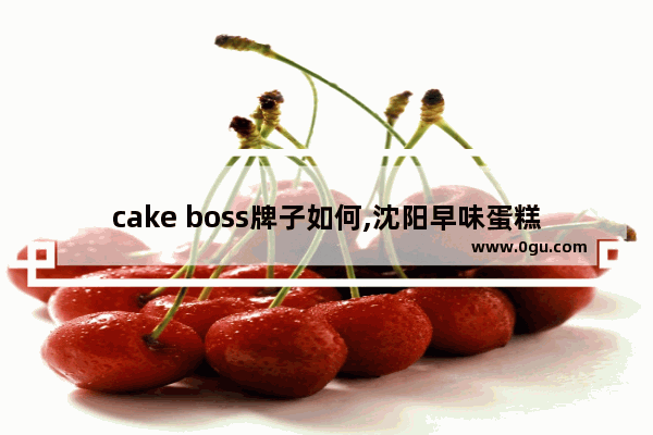 cake boss牌子如何,沈阳早味蛋糕加盟店排行榜