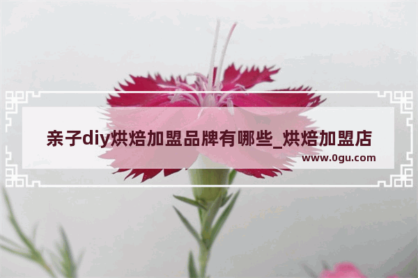 亲子diy烘焙加盟品牌有哪些_烘焙加盟店推荐