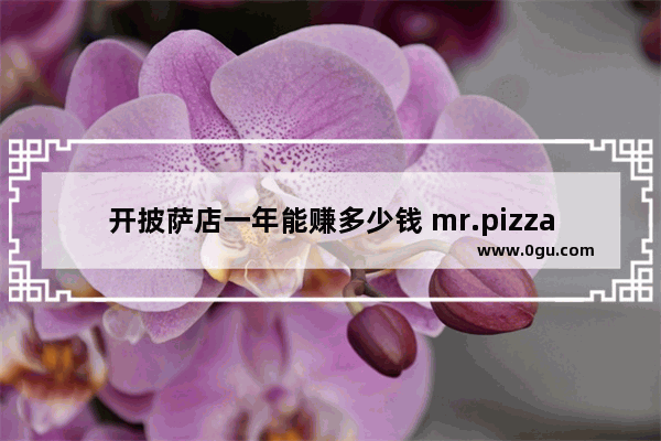 开披萨店一年能赚多少钱 mr.pizza 加盟