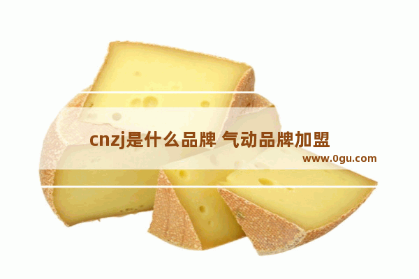 cnzj是什么品牌 气动品牌加盟