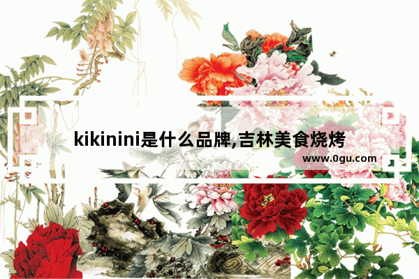 kikinini是什么品牌,吉林美食烧烤外卖加盟