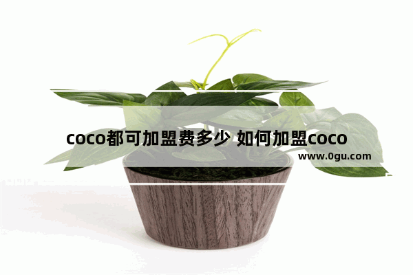 coco都可加盟费多少 如何加盟coco都可奶茶