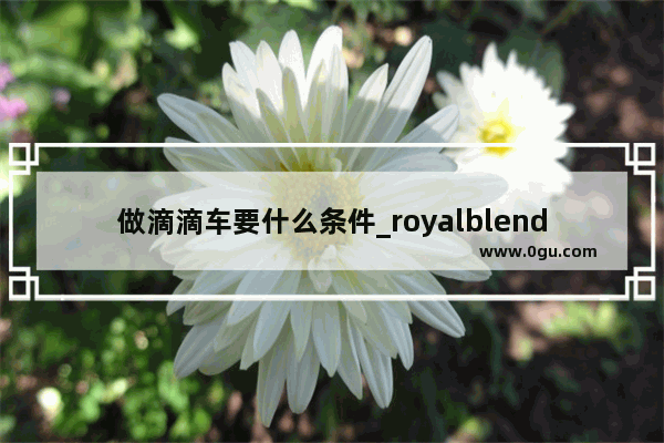 做滴滴车要什么条件_royalblend茶是什么茶