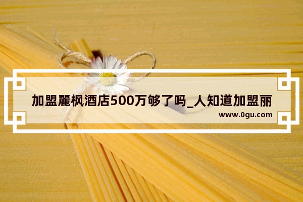 加盟麗枫酒店500万够了吗_人知道加盟丽枫酒店的投资金额吗