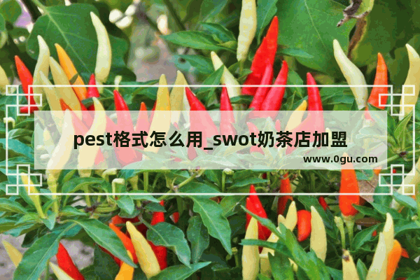 pest格式怎么用_swot奶茶店加盟