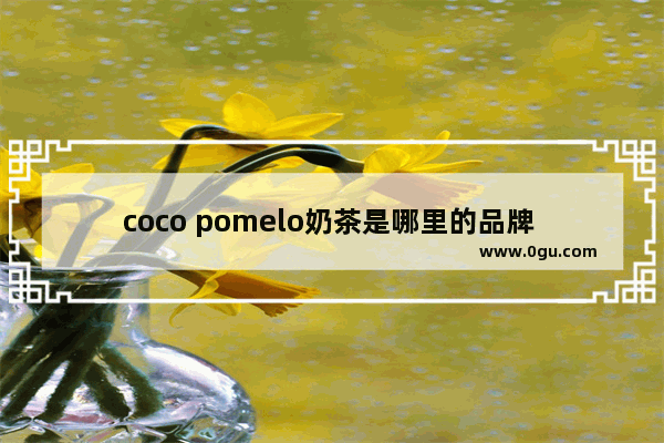 coco pomelo奶茶是哪里的品牌 湖北奶茶甜品加盟