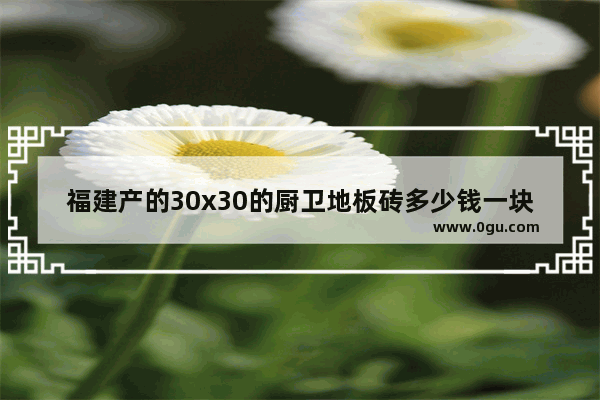 福建产的30x30的厨卫地板砖多少钱一块 福建地板加盟品牌收费标准