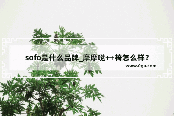 sofo是什么品牌_摩摩哒++椅怎么样？什么型号的