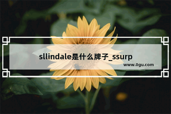 sllindale是什么牌子_ssurplusiconslab是什么牌子