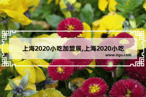 上海2020小吃加盟展,上海2020小吃加盟展