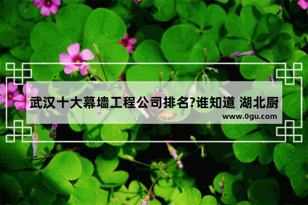 武汉十大幕墙工程公司排名?谁知道 湖北厨柜加盟店排行榜前十