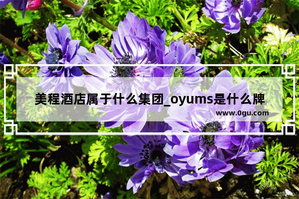 美程酒店属于什么集团_oyums是什么牌子