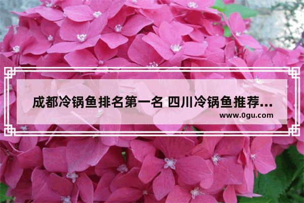 成都冷锅鱼排名第一名 四川冷锅鱼推荐加盟店吗