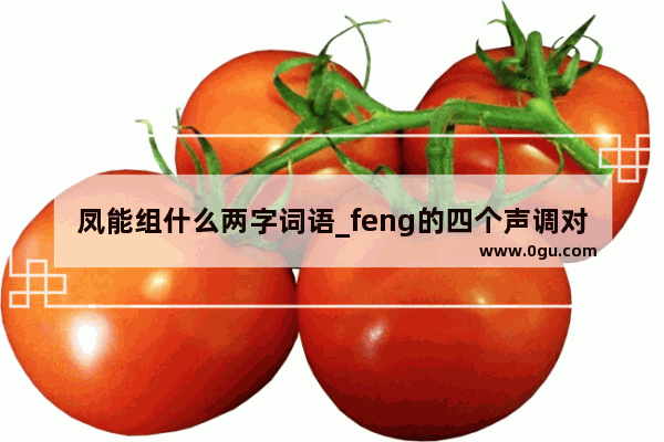 凤能组什么两字词语_feng的四个声调对应的组词