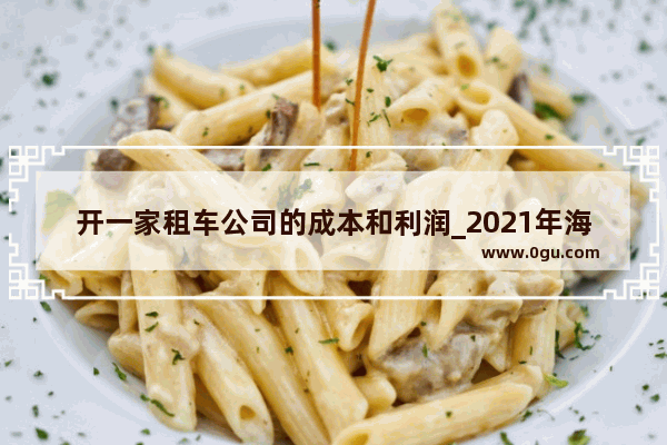 开一家租车公司的成本和利润_2021年海口美食节什么时候