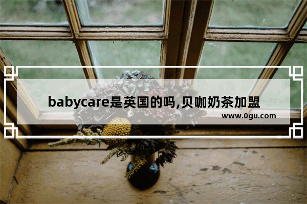 babycare是英国的吗,贝咖奶茶加盟