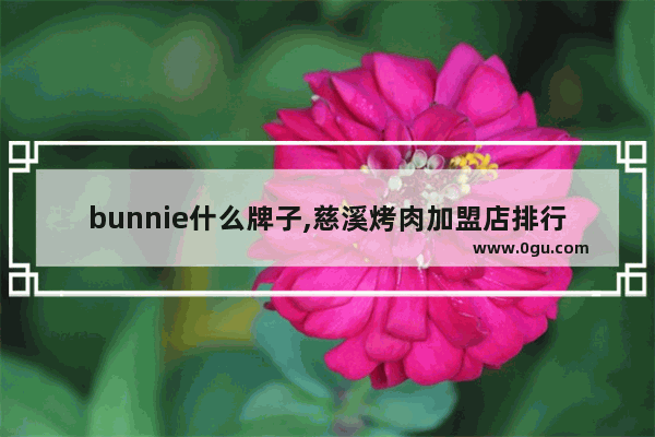 bunnie什么牌子,慈溪烤肉加盟店排行榜推荐