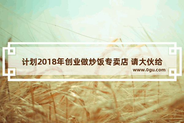 计划2018年创业做炒饭专卖店 请大伙给些建议_皮皮炒饭怎么样