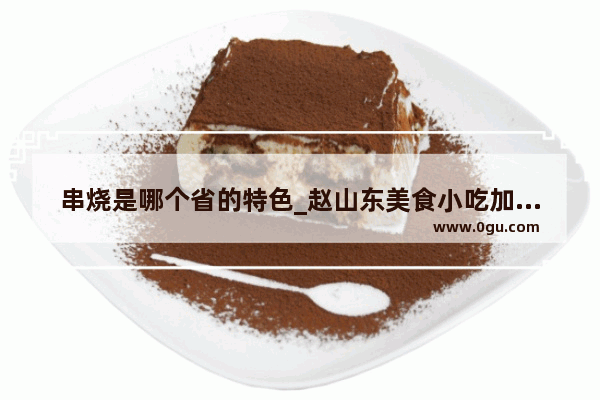 串烧是哪个省的特色_赵山东美食小吃加盟店