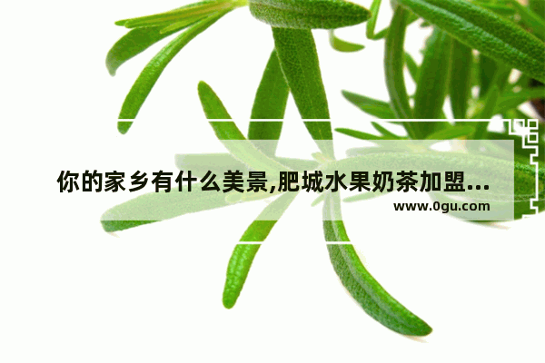 你的家乡有什么美景,肥城水果奶茶加盟招商