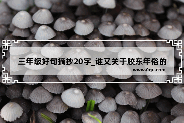 三年级好句摘抄20字_谁又关于胶东年俗的资料