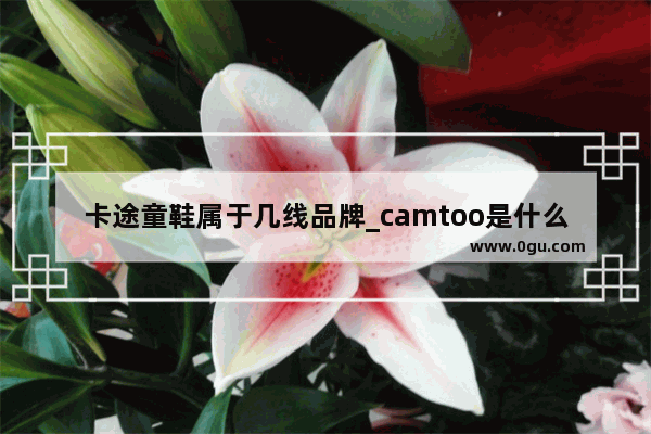 卡途童鞋属于几线品牌_camtoo是什么牌子的