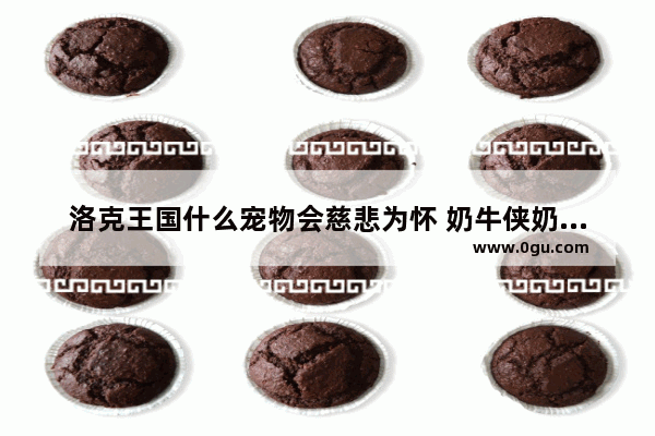 洛克王国什么宠物会慈悲为怀 奶牛侠奶茶店加盟