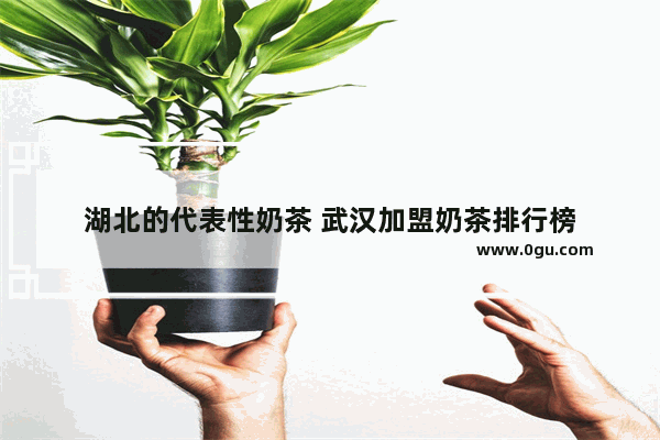 湖北的代表性奶茶 武汉加盟奶茶排行榜