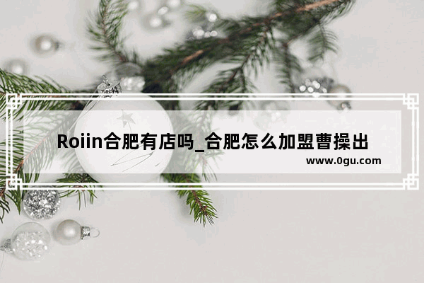 Roiin合肥有店吗_合肥怎么加盟曹操出行