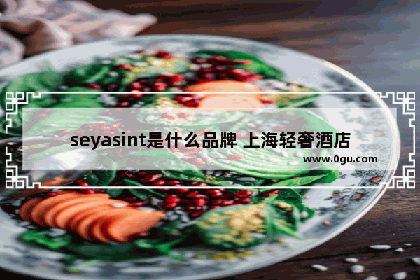 seyasint是什么品牌 上海轻奢酒店加盟费用