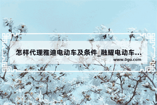 怎样代理雅迪电动车及条件_融耀电动车泉州有代理商吗