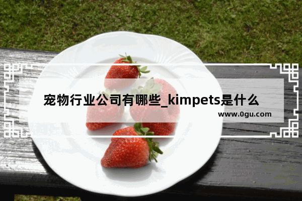 宠物行业公司有哪些_kimpets是什么牌子