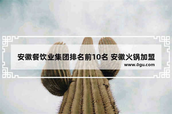 安徽餐饮业集团排名前10名 安徽火锅加盟店排行