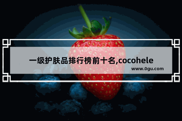 一级护肤品排行榜前十名,cocohelena奶茶加盟费