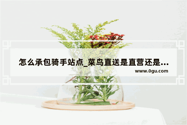 怎么承包骑手站点_菜鸟直送是直营还是加盟