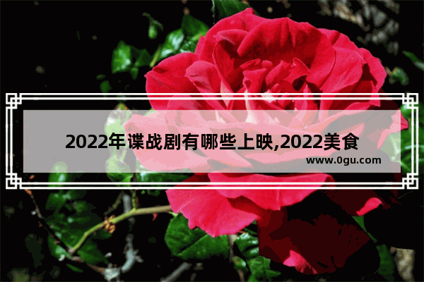 2022年谍战剧有哪些上映,2022美食加盟排行榜