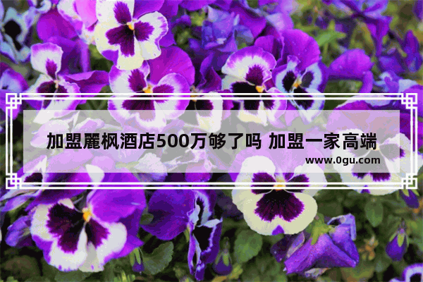 加盟麗枫酒店500万够了吗 加盟一家高端酒店要多少钱