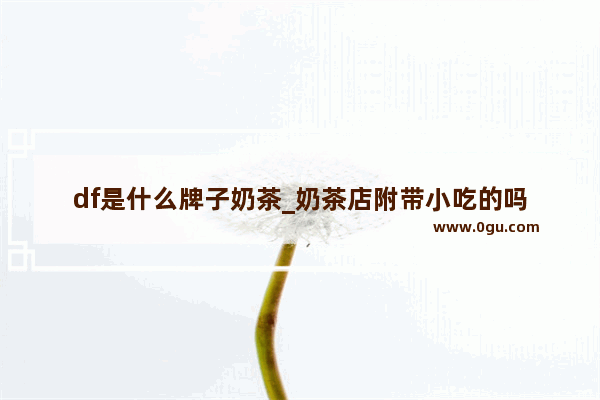 df是什么牌子奶茶_奶茶店附带小吃的吗