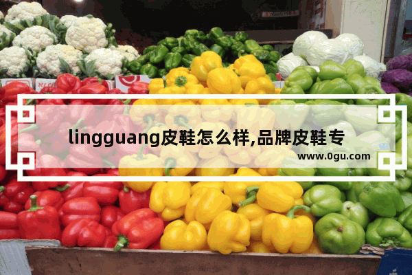 lingguang皮鞋怎么样,品牌皮鞋专卖店加盟