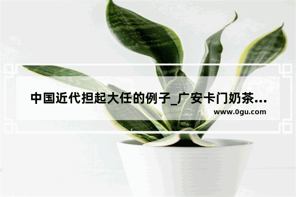 中国近代担起大任的例子_广安卡门奶茶加盟