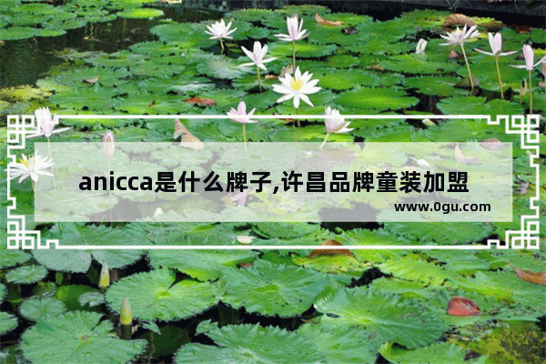 anicca是什么牌子,许昌品牌童装加盟