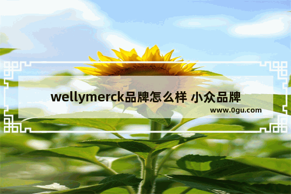 wellymerck品牌怎么样 小众品牌加盟鞋子