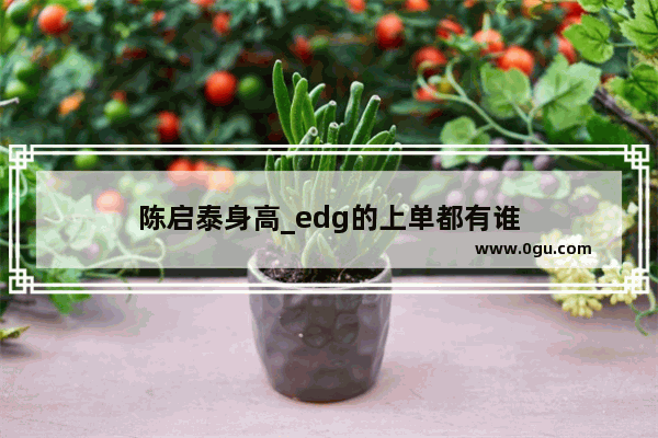 陈启泰身高_edg的上单都有谁