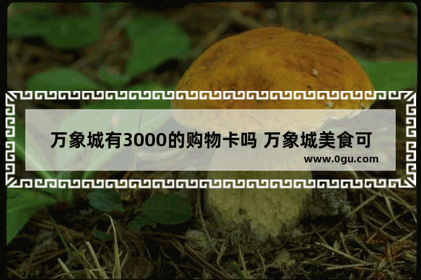 万象城有3000的购物卡吗 万象城美食可加盟