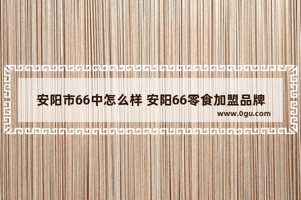 安阳市66中怎么样 安阳66零食加盟品牌在那