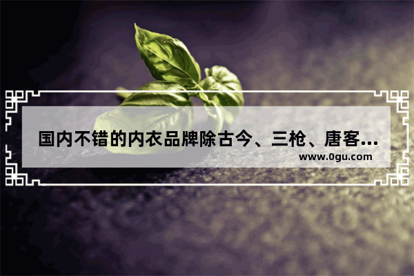 国内不错的内衣品牌除古今、三枪、唐客一品外还有什么_哪个品牌内衣好穿不贵