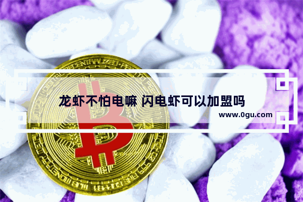 龙虾不怕电嘛 闪电虾可以加盟吗